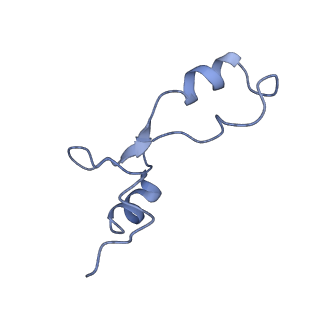 13234_7p6z_1_v2-1
Mycoplasma pneumoniae 70S ribosome in untreated cells