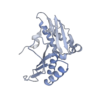 13234_7p6z_B_v1-0
Mycoplasma pneumoniae 70S ribosome in untreated cells