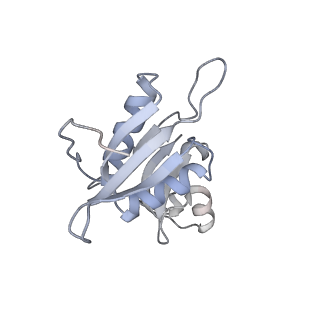 13234_7p6z_G_v1-0
Mycoplasma pneumoniae 70S ribosome in untreated cells