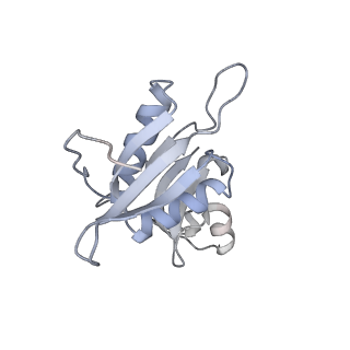 13234_7p6z_G_v2-1
Mycoplasma pneumoniae 70S ribosome in untreated cells