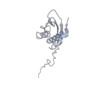 13234_7p6z_H_v1-0
Mycoplasma pneumoniae 70S ribosome in untreated cells