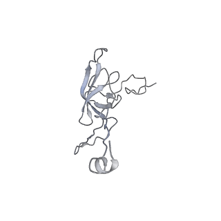 13234_7p6z_K_v1-0
Mycoplasma pneumoniae 70S ribosome in untreated cells