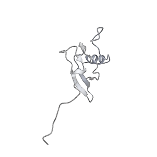 13234_7p6z_R_v1-0
Mycoplasma pneumoniae 70S ribosome in untreated cells