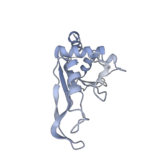 13234_7p6z_d_v1-0
Mycoplasma pneumoniae 70S ribosome in untreated cells