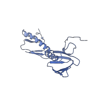 13234_7p6z_e_v1-0
Mycoplasma pneumoniae 70S ribosome in untreated cells