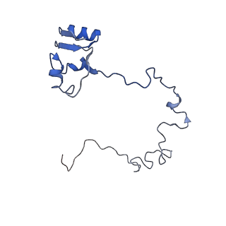 13234_7p6z_k_v1-0
Mycoplasma pneumoniae 70S ribosome in untreated cells