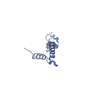 13234_7p6z_p_v1-0
Mycoplasma pneumoniae 70S ribosome in untreated cells