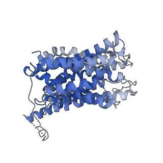 17462_8p6a_A_v1-0
cryo-EM structure of human SLC15A4 in outward-open state