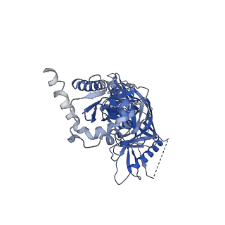 20259_6p62_A_v1-2
HIV Env BG505 NFL TD+ in complex with antibody E70 fragment antigen binding