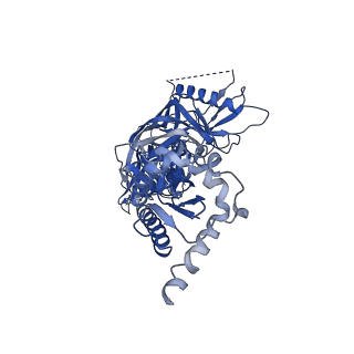 20259_6p62_B_v1-2
HIV Env BG505 NFL TD+ in complex with antibody E70 fragment antigen binding
