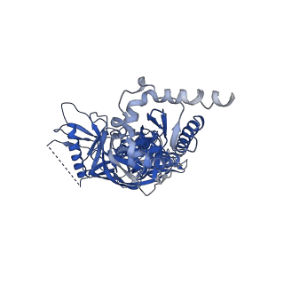 20259_6p62_E_v1-2
HIV Env BG505 NFL TD+ in complex with antibody E70 fragment antigen binding
