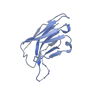 20259_6p62_F_v1-2
HIV Env BG505 NFL TD+ in complex with antibody E70 fragment antigen binding