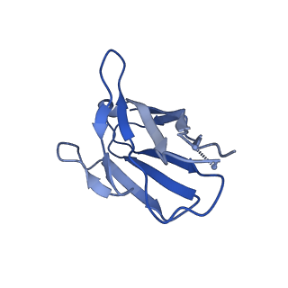 20259_6p62_G_v1-2
HIV Env BG505 NFL TD+ in complex with antibody E70 fragment antigen binding
