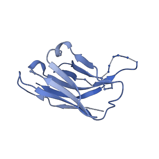 20259_6p62_H_v1-2
HIV Env BG505 NFL TD+ in complex with antibody E70 fragment antigen binding