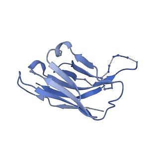 20259_6p62_H_v2-0
HIV Env BG505 NFL TD+ in complex with antibody E70 fragment antigen binding
