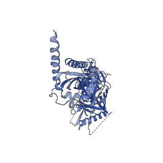 20260_6p65_A_v1-2
HIV Env 16055 NFL TD 2CC+ in complex with antibody 1C2 fragment antigen binding