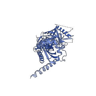 20260_6p65_B_v1-2
HIV Env 16055 NFL TD 2CC+ in complex with antibody 1C2 fragment antigen binding