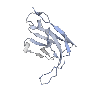 20260_6p65_C_v1-2
HIV Env 16055 NFL TD 2CC+ in complex with antibody 1C2 fragment antigen binding