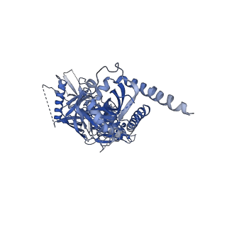 20260_6p65_E_v1-2
HIV Env 16055 NFL TD 2CC+ in complex with antibody 1C2 fragment antigen binding