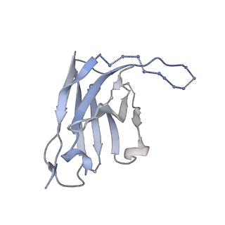20260_6p65_F_v1-2
HIV Env 16055 NFL TD 2CC+ in complex with antibody 1C2 fragment antigen binding