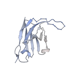 20260_6p65_F_v2-0
HIV Env 16055 NFL TD 2CC+ in complex with antibody 1C2 fragment antigen binding