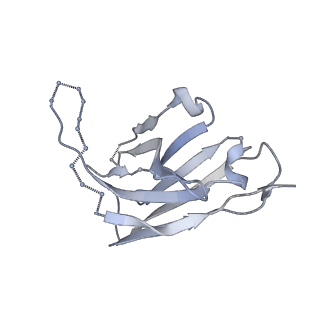 20260_6p65_H_v1-2
HIV Env 16055 NFL TD 2CC+ in complex with antibody 1C2 fragment antigen binding