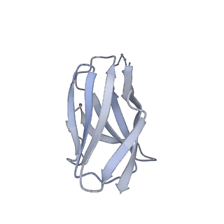 20260_6p65_L_v1-2
HIV Env 16055 NFL TD 2CC+ in complex with antibody 1C2 fragment antigen binding