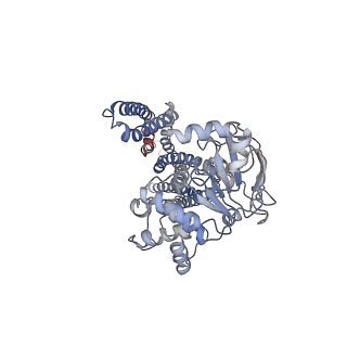 20262_6p6i_A_v1-0
Structure of YbtPQ importer