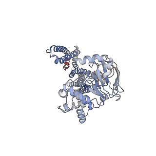 20262_6p6i_A_v1-1
Structure of YbtPQ importer