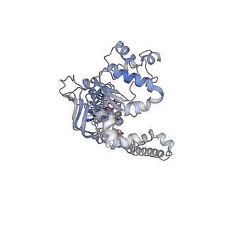 20262_6p6i_B_v1-1
Structure of YbtPQ importer