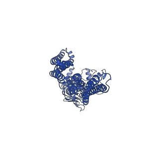20264_6p6j_A_v1-0
Structure of YbtPQ importer with substrate Ybt-Fe bound