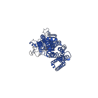 20264_6p6j_B_v1-0
Structure of YbtPQ importer with substrate Ybt-Fe bound