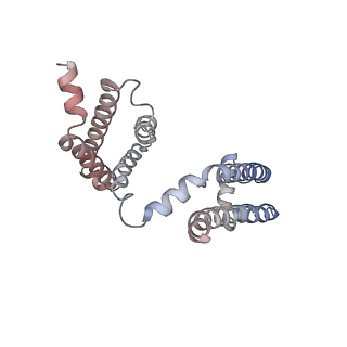 20265_6p6w_A_v1-3
Cryo-EM structure of voltage-gated sodium channel NavAb N49K/L109A/M116V/G94C/Q150C disulfide crosslinked mutant in the resting state