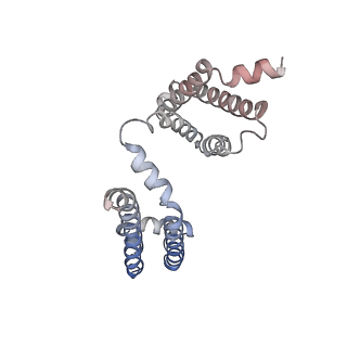 20265_6p6w_D_v1-3
Cryo-EM structure of voltage-gated sodium channel NavAb N49K/L109A/M116V/G94C/Q150C disulfide crosslinked mutant in the resting state