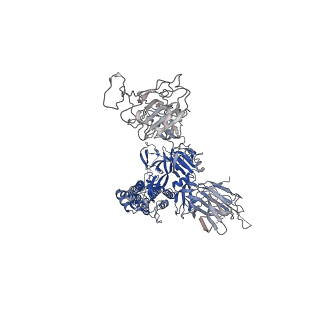 12082_7p77_C_v1-2
SARS-CoV-2 spike protein in complex with sybody#15 and sybody#68 in a 3up conformation