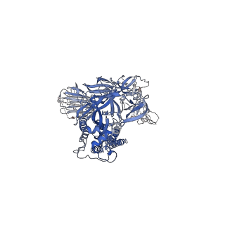 12084_7p79_A_v1-2
SARS-CoV-2 spike protein in complex with sybodyb#15 in a 1up/1up-out/1down conformation.