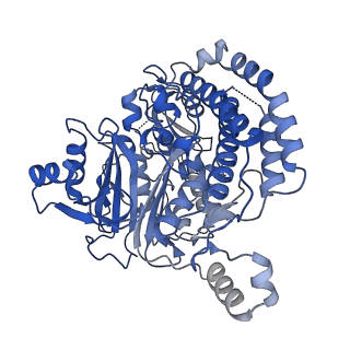 13236_7p7e_C_v1-2
Complex I from E. coli, DDM/LMNG-purified, Apo, Resting state
