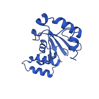 13236_7p7e_E_v1-2
Complex I from E. coli, DDM/LMNG-purified, Apo, Resting state