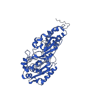13236_7p7e_F_v1-2
Complex I from E. coli, DDM/LMNG-purified, Apo, Resting state