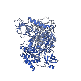13236_7p7e_G_v1-2
Complex I from E. coli, DDM/LMNG-purified, Apo, Resting state