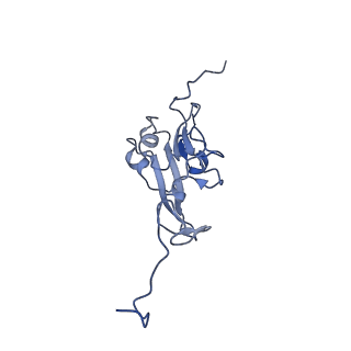 13236_7p7e_I_v1-2
Complex I from E. coli, DDM/LMNG-purified, Apo, Resting state
