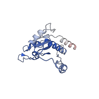 13238_7p7k_B_v1-2
Complex I from E. coli, DDM/LMNG-purified, with DQ, Resting state