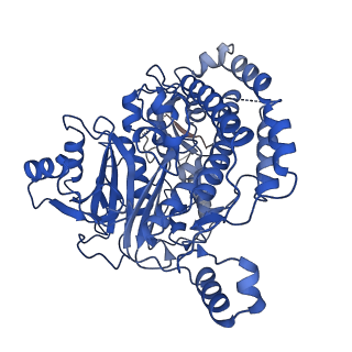 13238_7p7k_C_v1-2
Complex I from E. coli, DDM/LMNG-purified, with DQ, Resting state