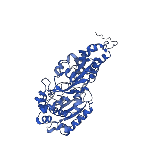 13238_7p7k_F_v1-2
Complex I from E. coli, DDM/LMNG-purified, with DQ, Resting state