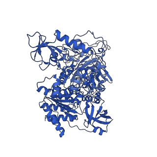 13238_7p7k_G_v1-2
Complex I from E. coli, DDM/LMNG-purified, with DQ, Resting state