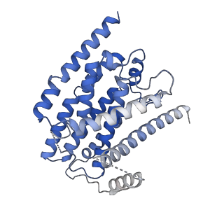 13238_7p7k_H_v1-2
Complex I from E. coli, DDM/LMNG-purified, with DQ, Resting state