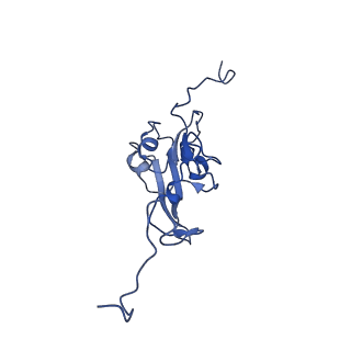 13238_7p7k_I_v1-2
Complex I from E. coli, DDM/LMNG-purified, with DQ, Resting state