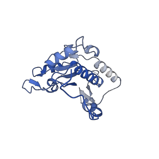 13240_7p7m_B_v1-2
Complex I from E. coli, DDM/LMNG-purified, inhibited by Piericidin A, Open state