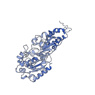 13240_7p7m_F_v1-2
Complex I from E. coli, DDM/LMNG-purified, inhibited by Piericidin A, Open state