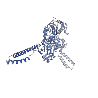 13243_7p7s_0_v1-1
PoxtA-EQ2 antibiotic resistance ABCF bound to E. faecalis 70S ribosome, state II